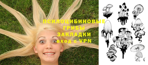 герыч Балахна