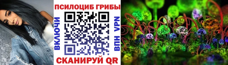 Галлюциногенные грибы мицелий Венёв